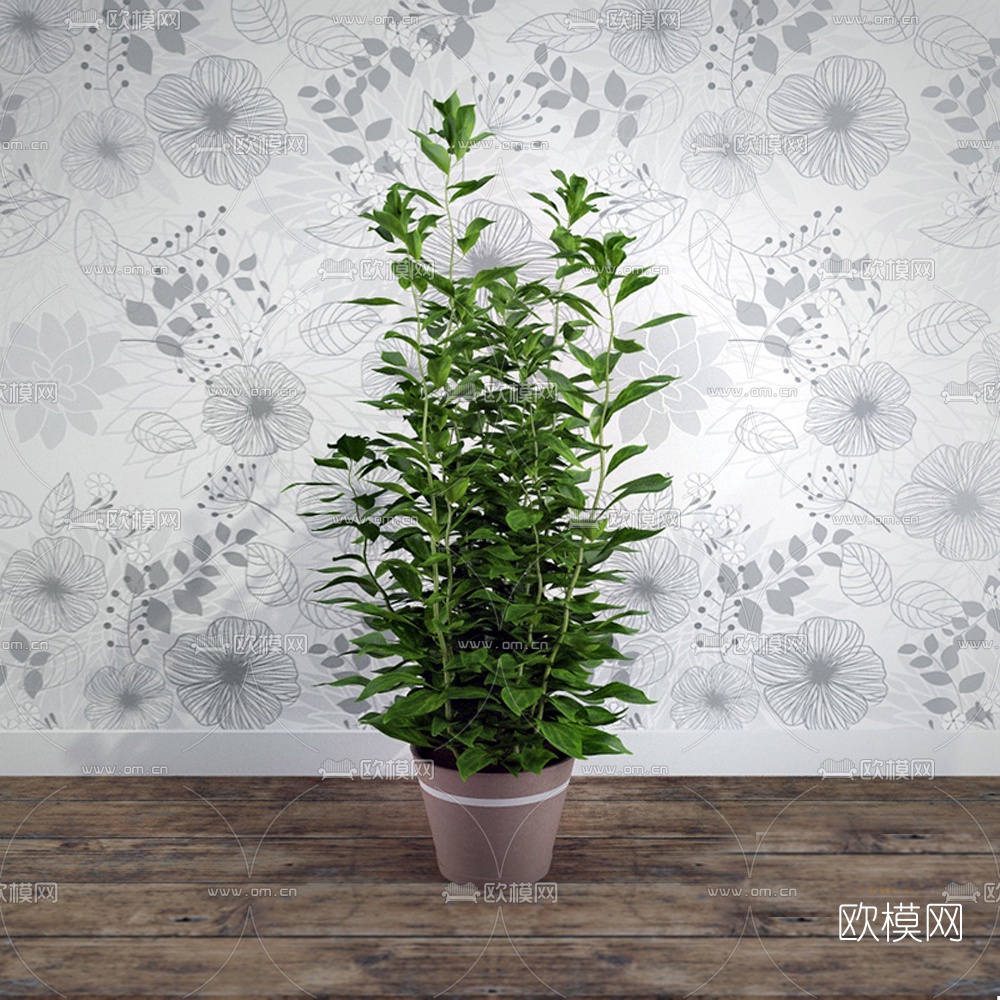 现代植物盆栽免费3d模型