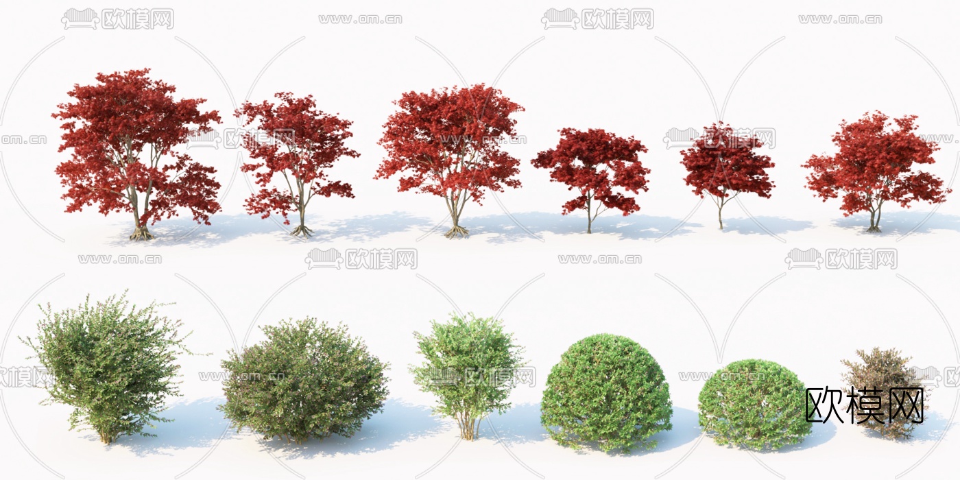 现代灌木植物3d模型下载