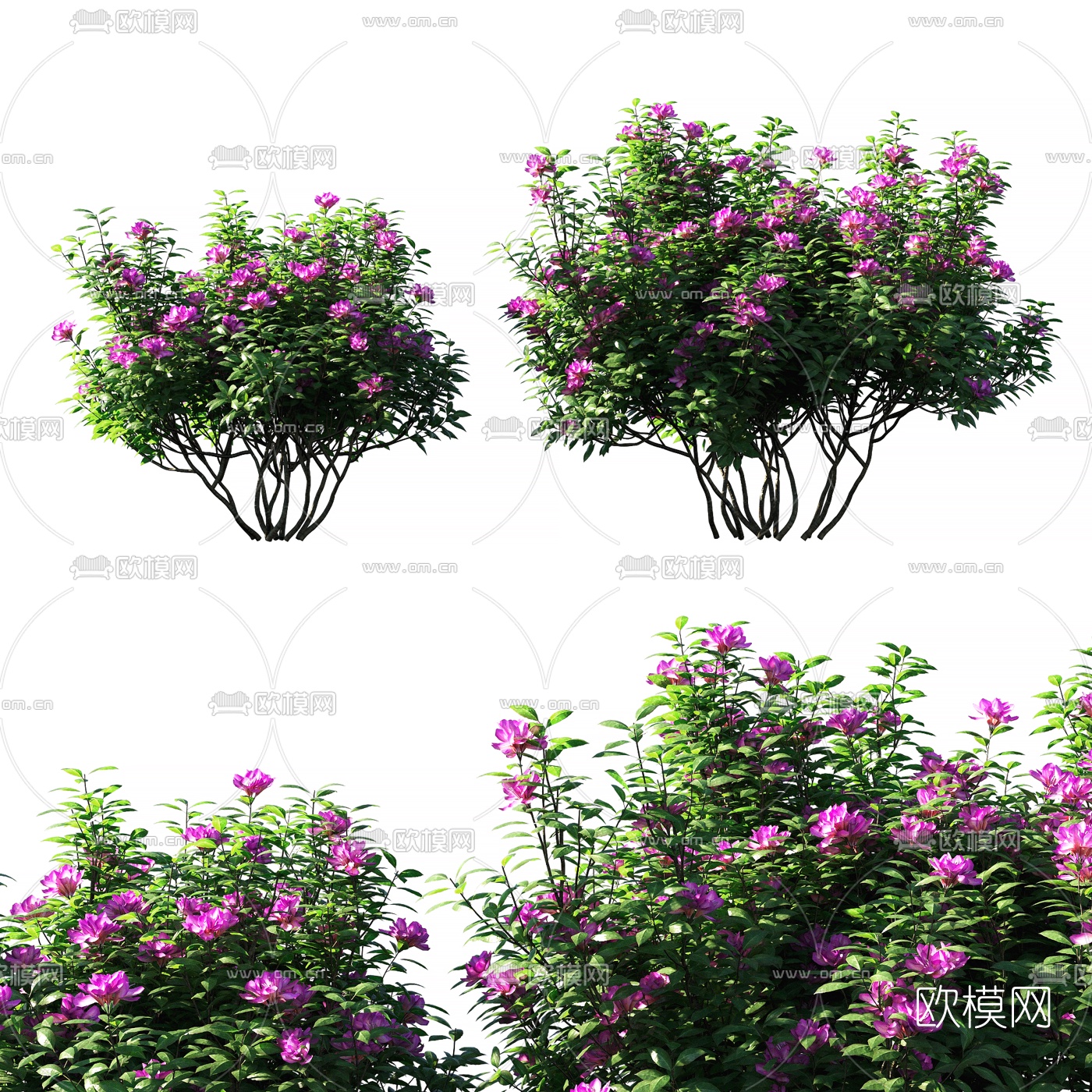 现代绿植灌木3d模型