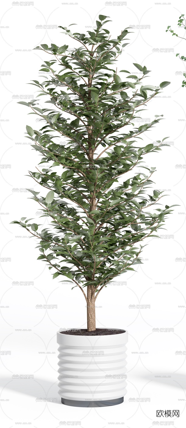 现代植物盆栽盆景3d模型