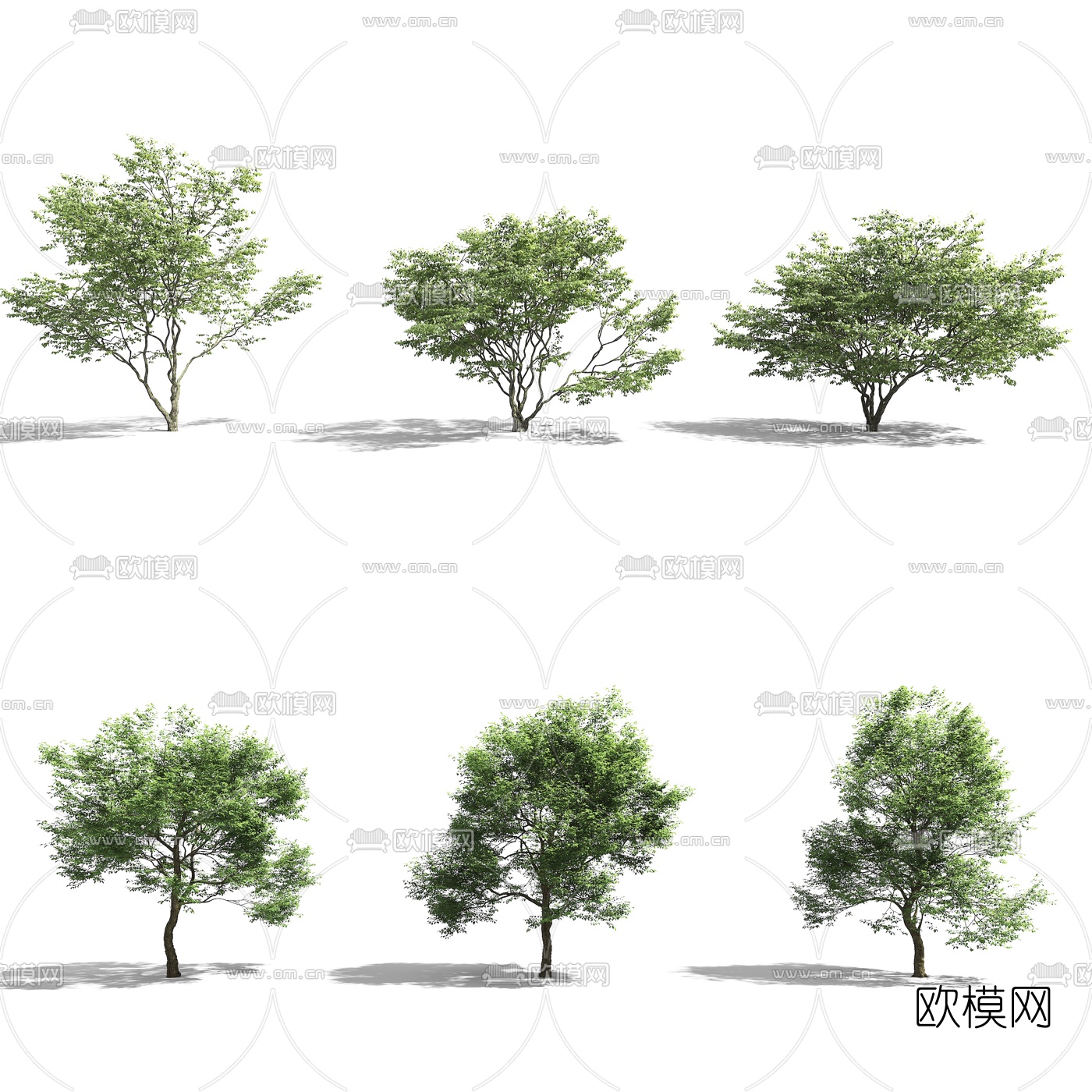 现代城市街道树木3d模型