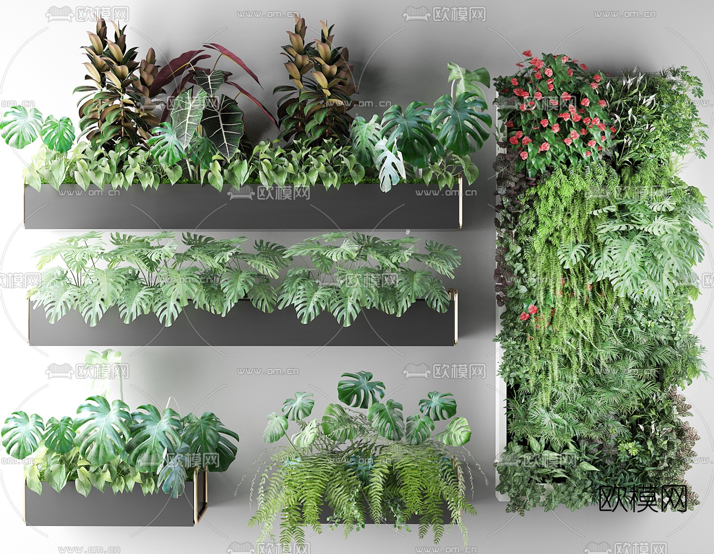 现代绿植墙花草画框壁挂植物3d模型