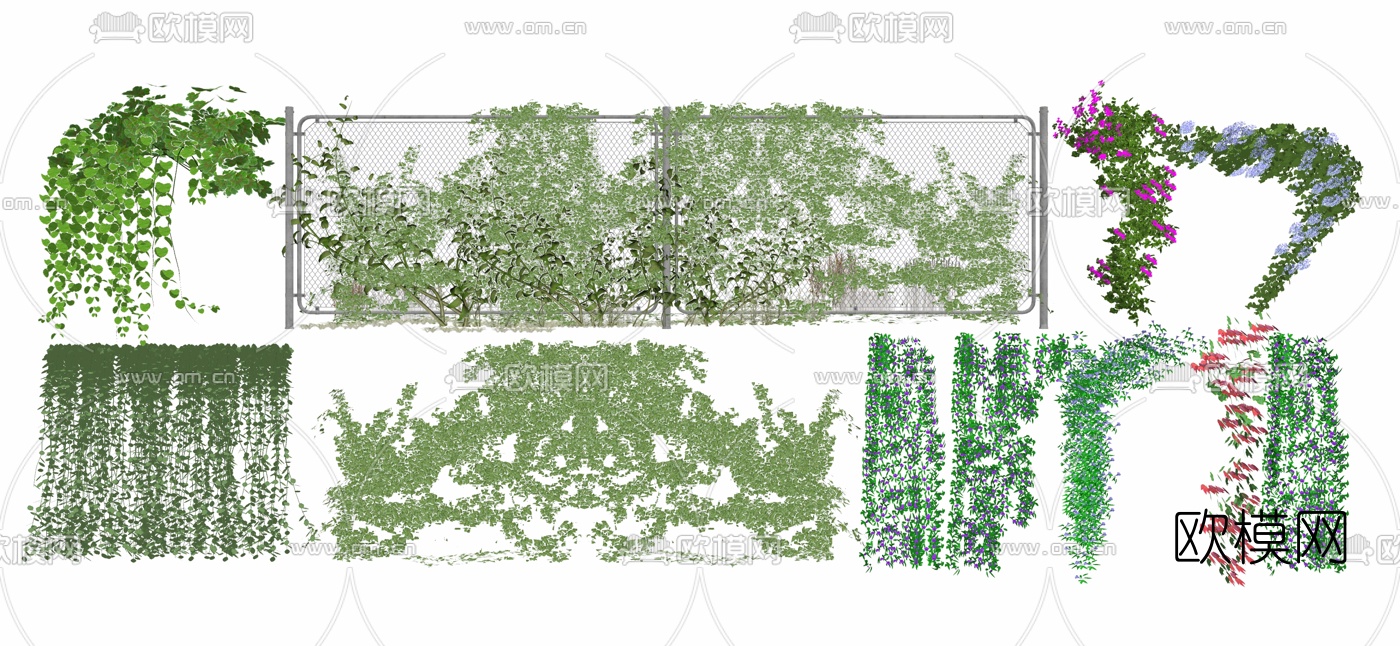 现代藤蔓植物su模型