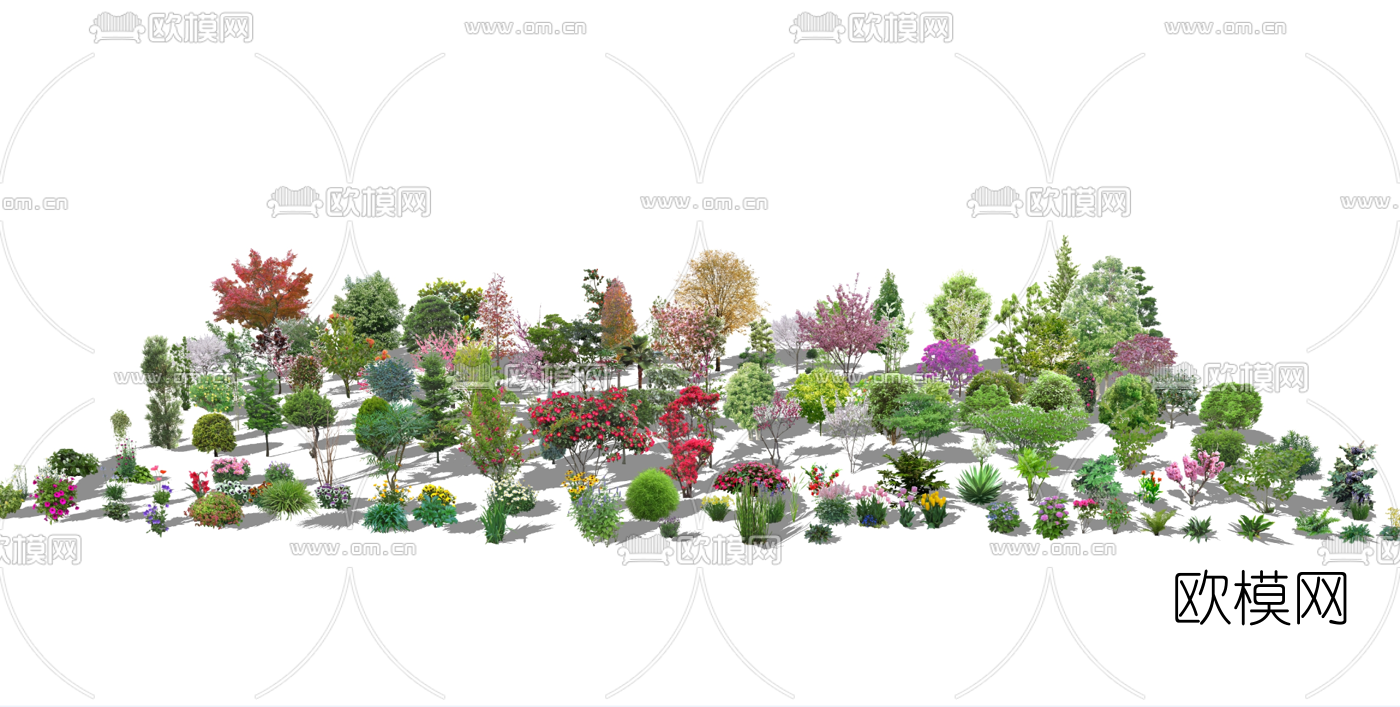 现代2D花草植物su模型下载（渲染图1）