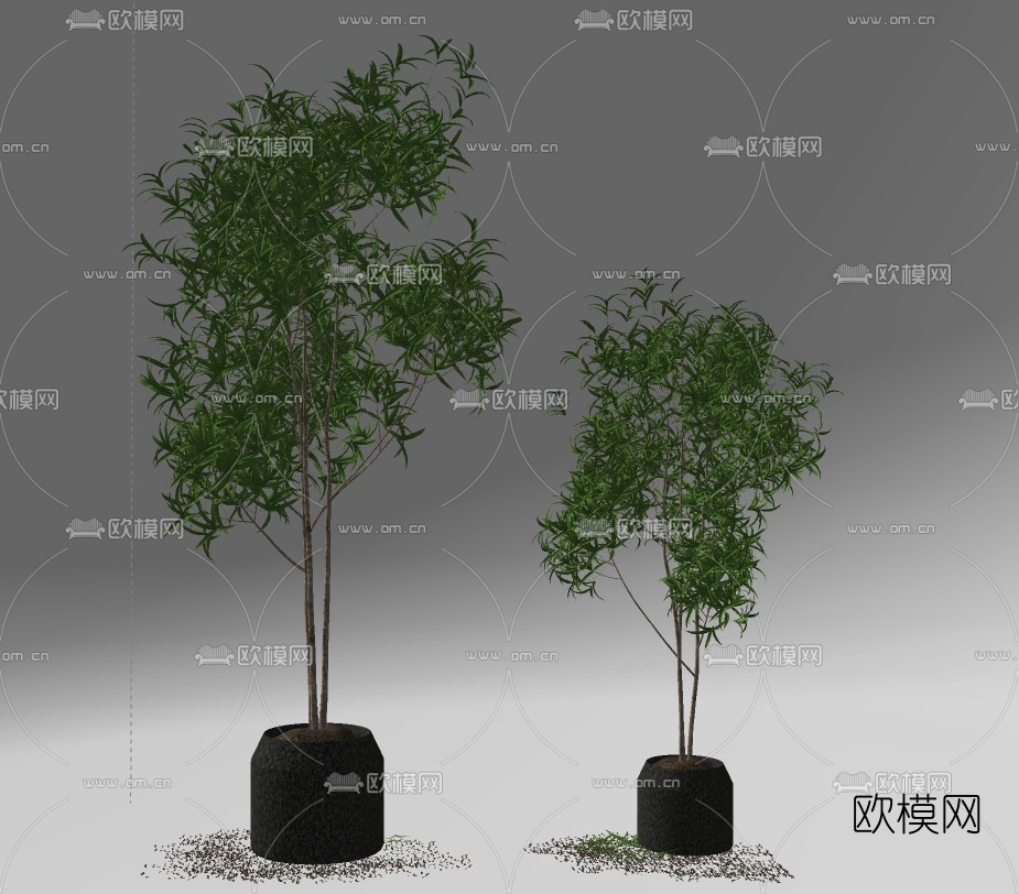 北欧绿植盆栽su模型下载（渲染图2）