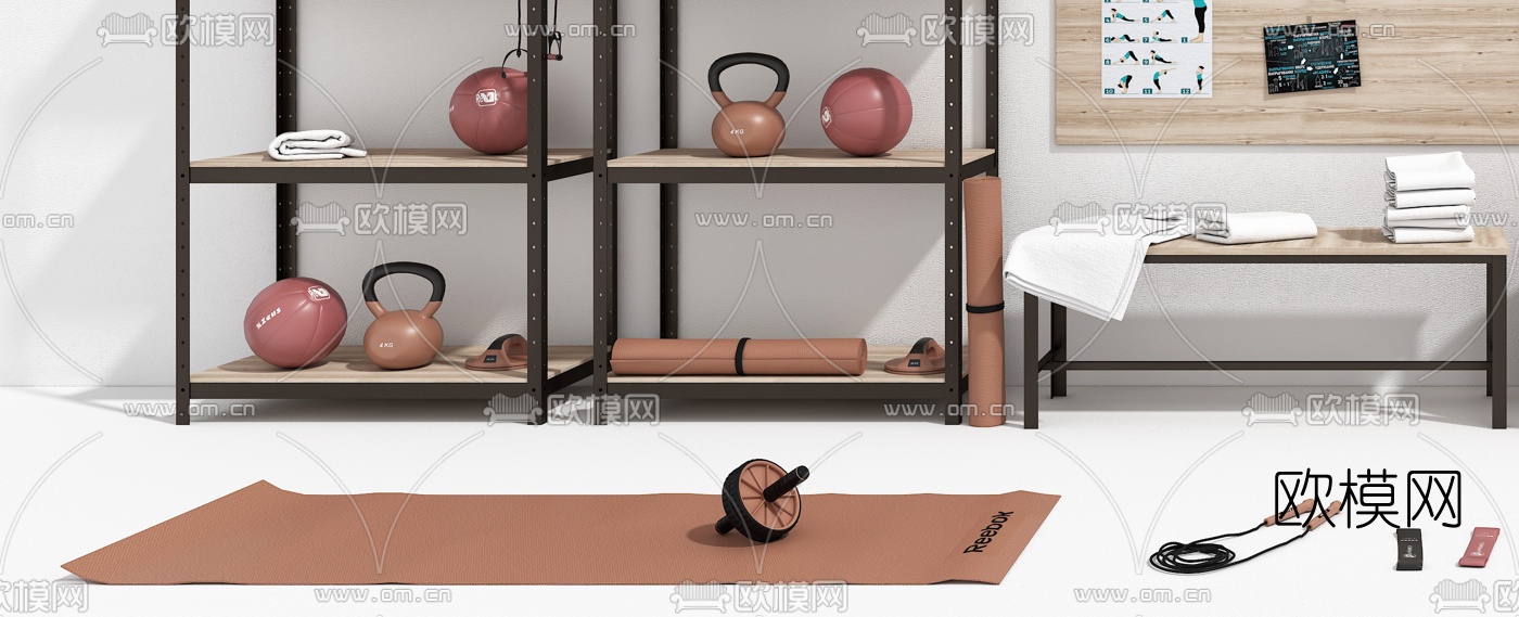 现代瑜伽球健身器材3d模型