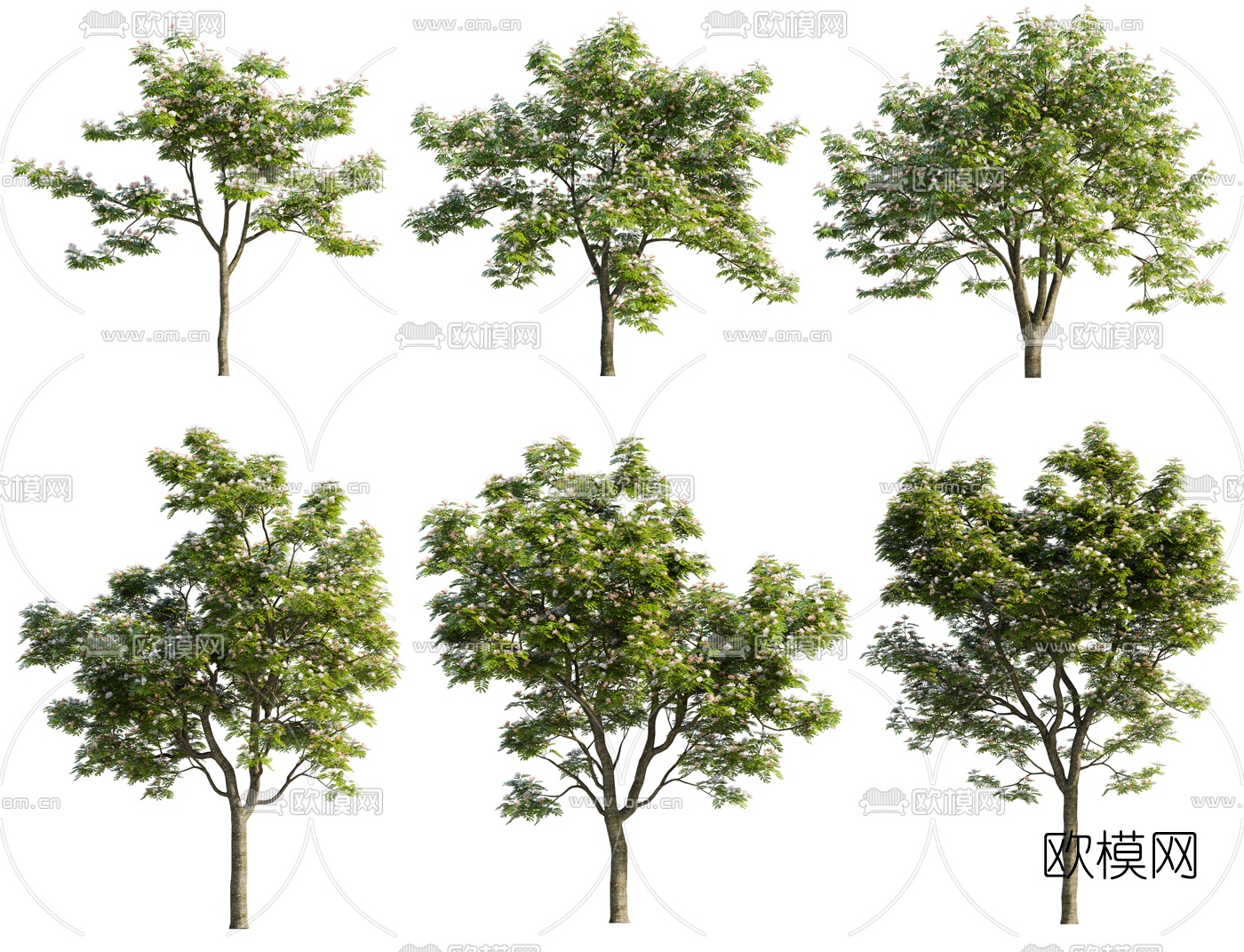 现代景观树3d模型
