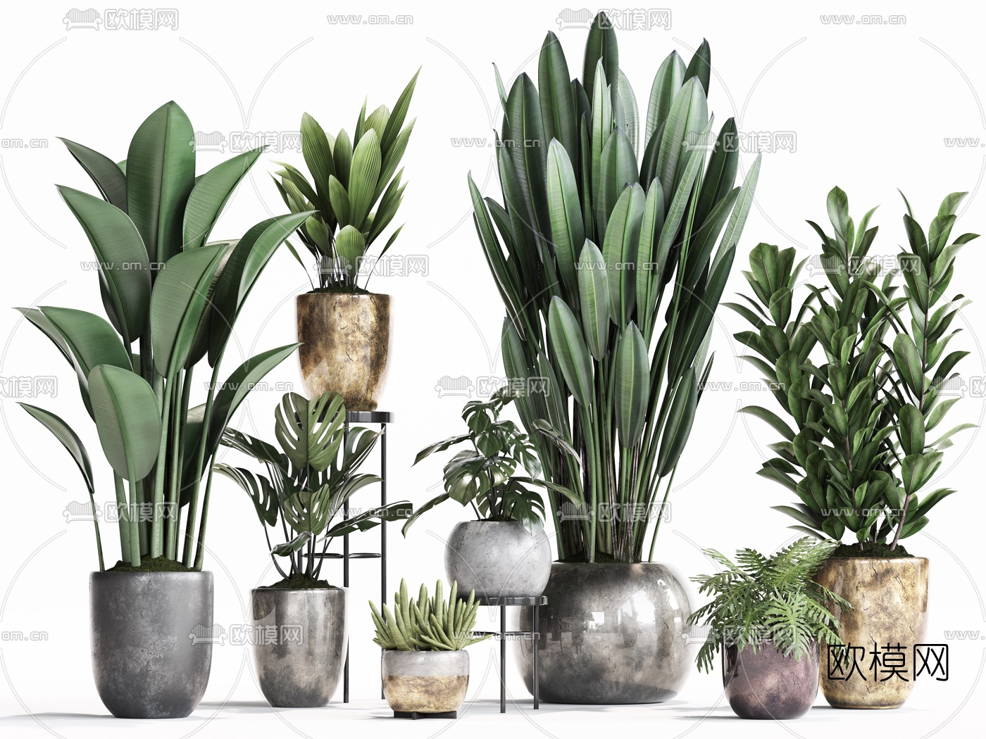 现代绿植盆栽3d模型