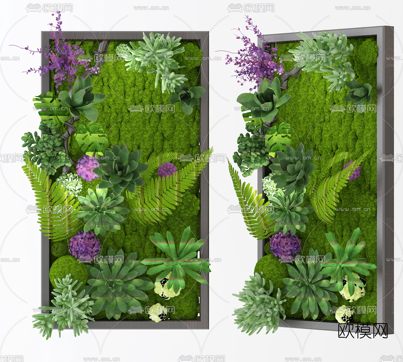 现代植物墙3d模型