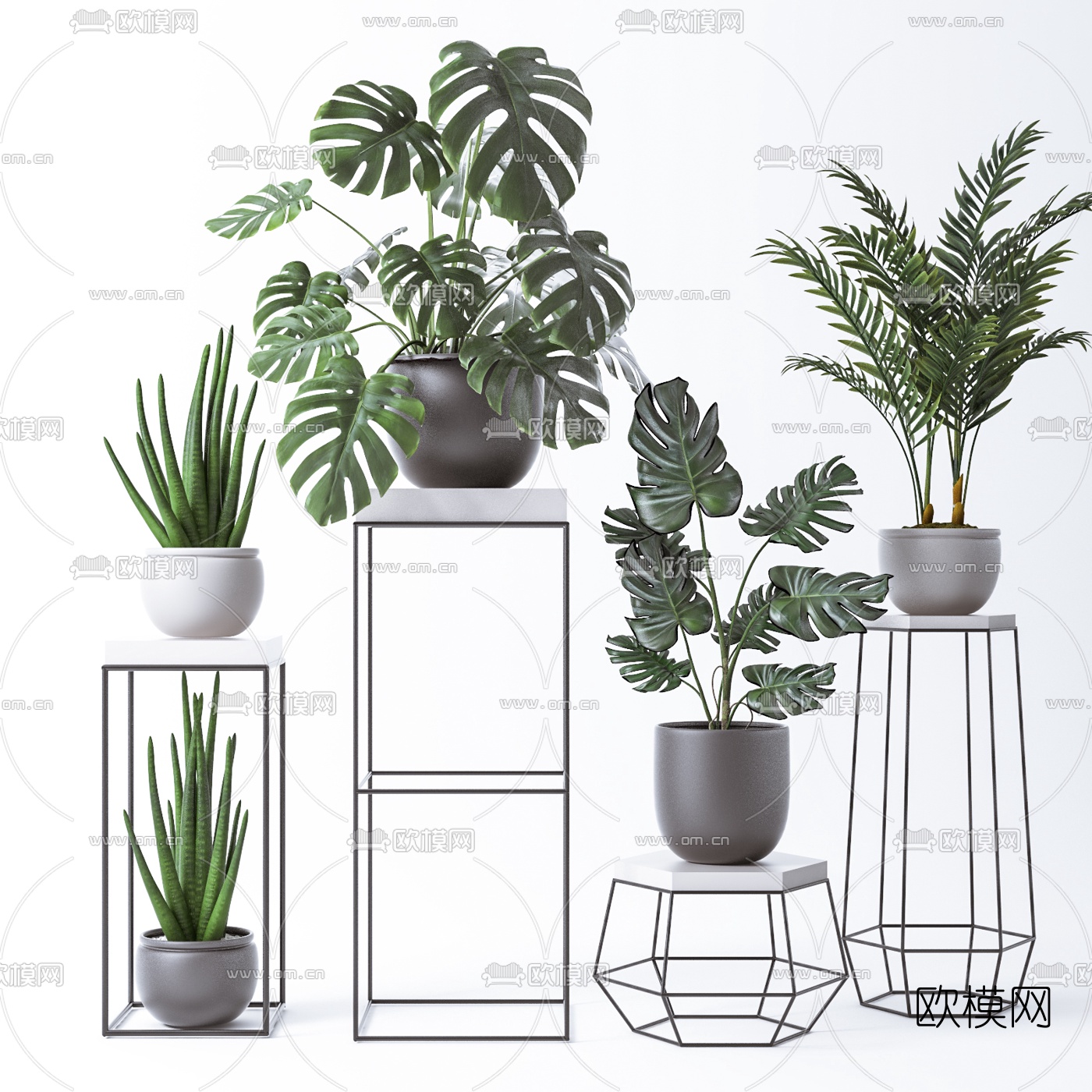 现代盆栽植物组合3d模型
