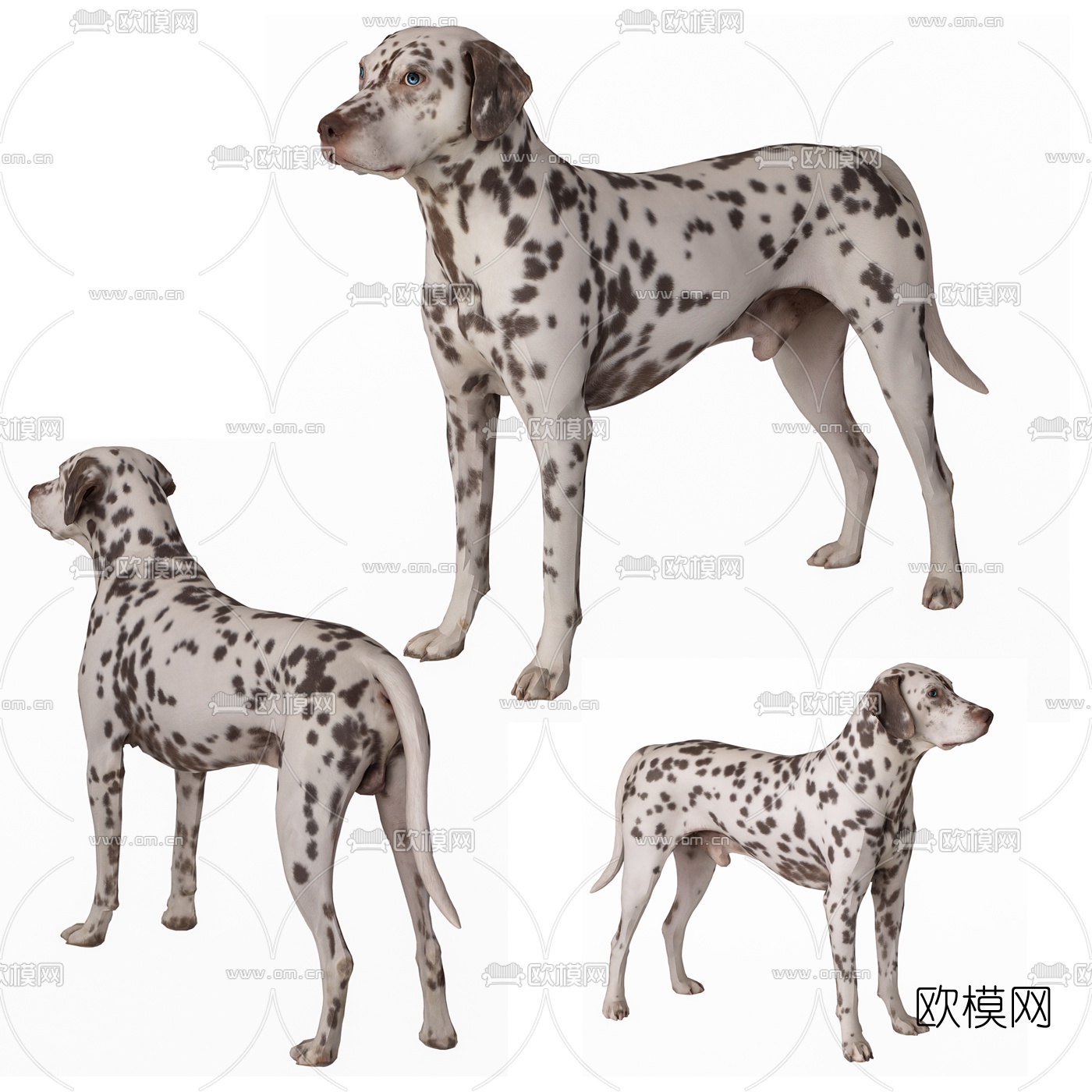 现代斑点狗3d模型下载