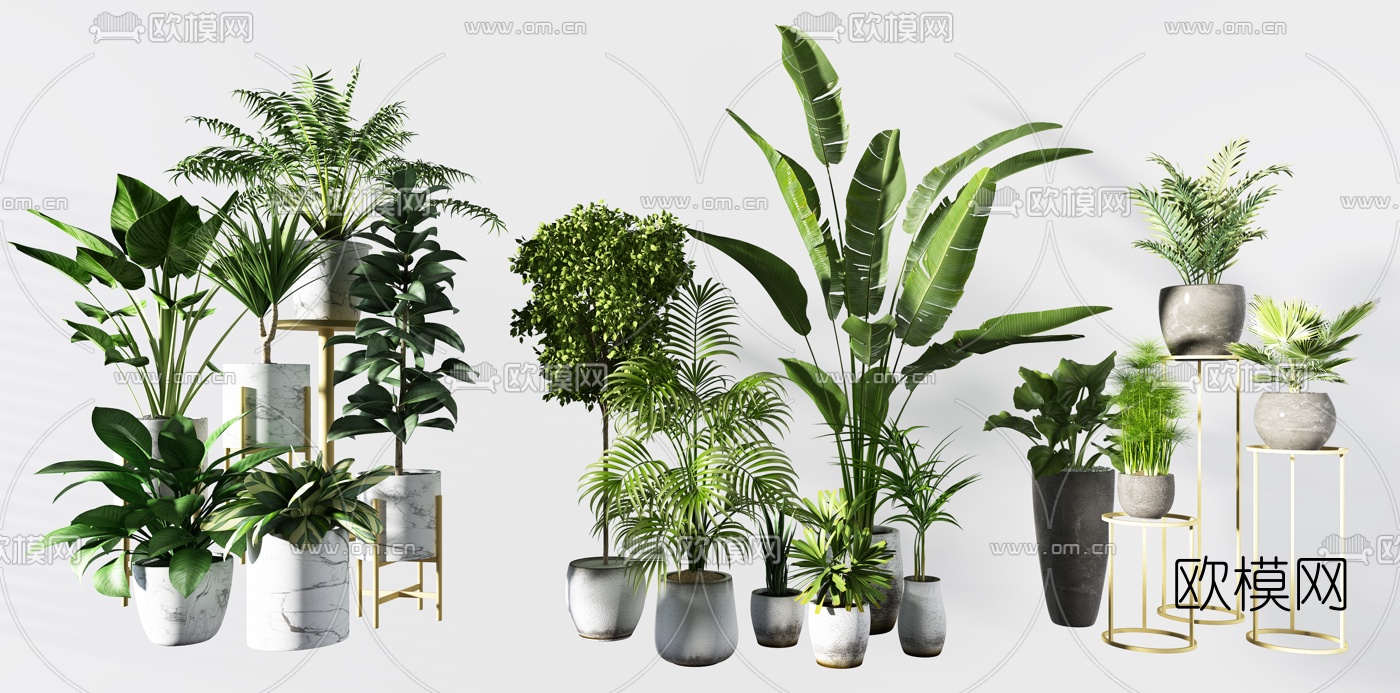 现代绿植盆栽3d模型下载