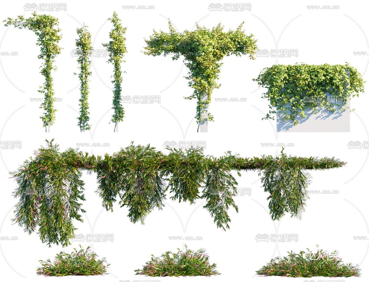 现代绿植藤蔓花草3d模型下载