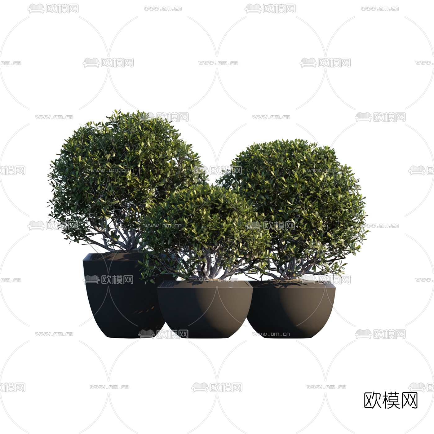 现代绿植盆栽3d模型