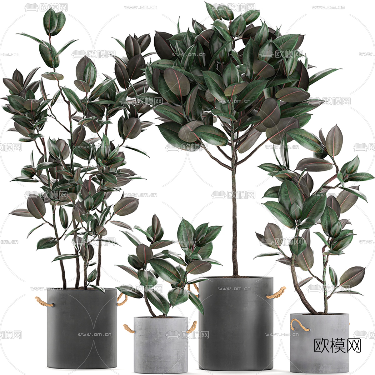 现代绿植盆栽3d模型