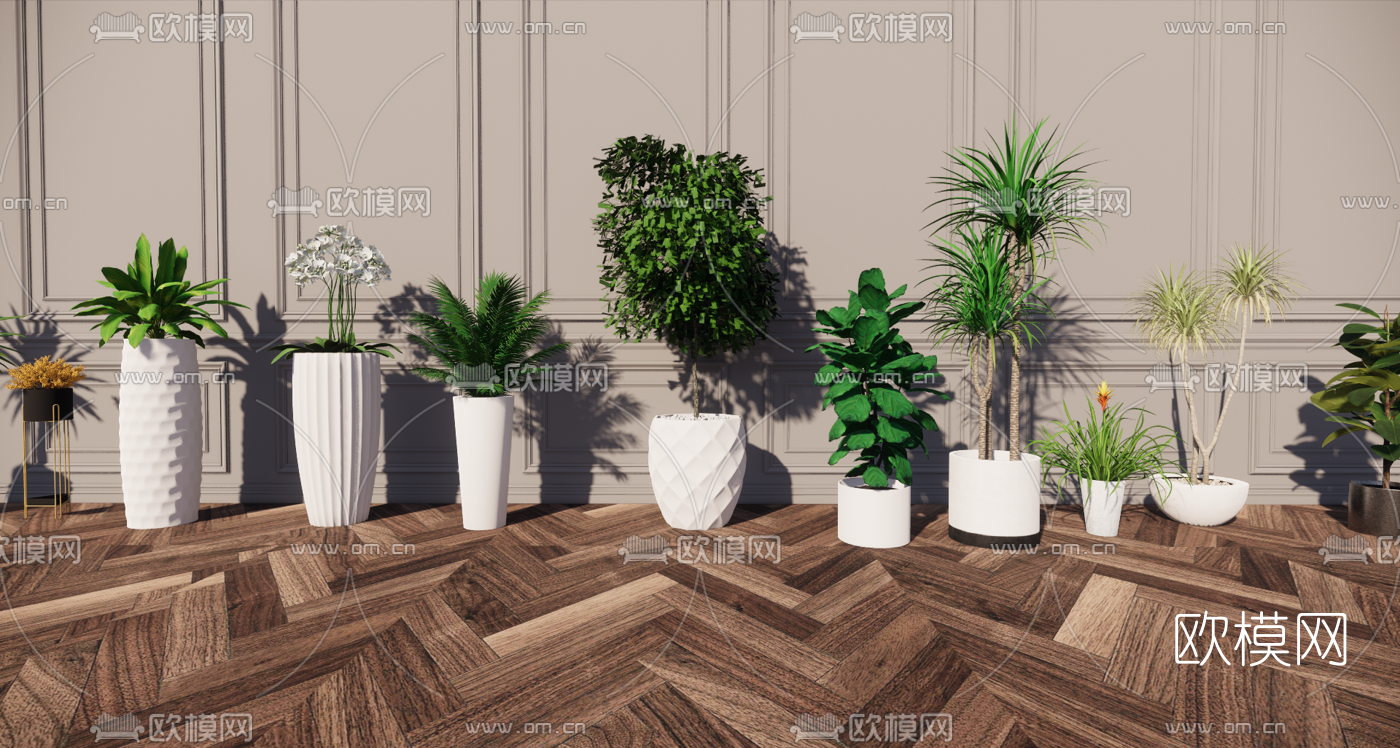 北欧绿植盆栽su模型下载（渲染图1）