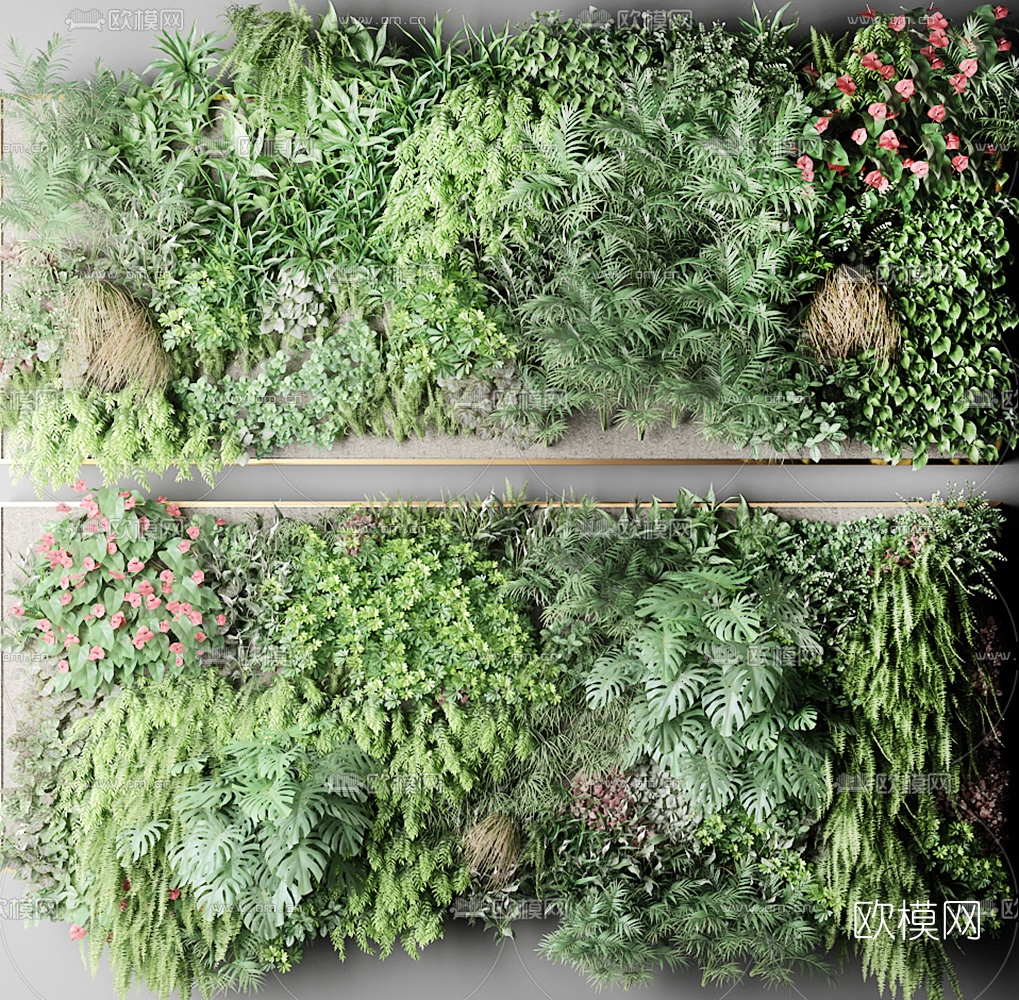 现代绿植花草植物墙3d模型下载