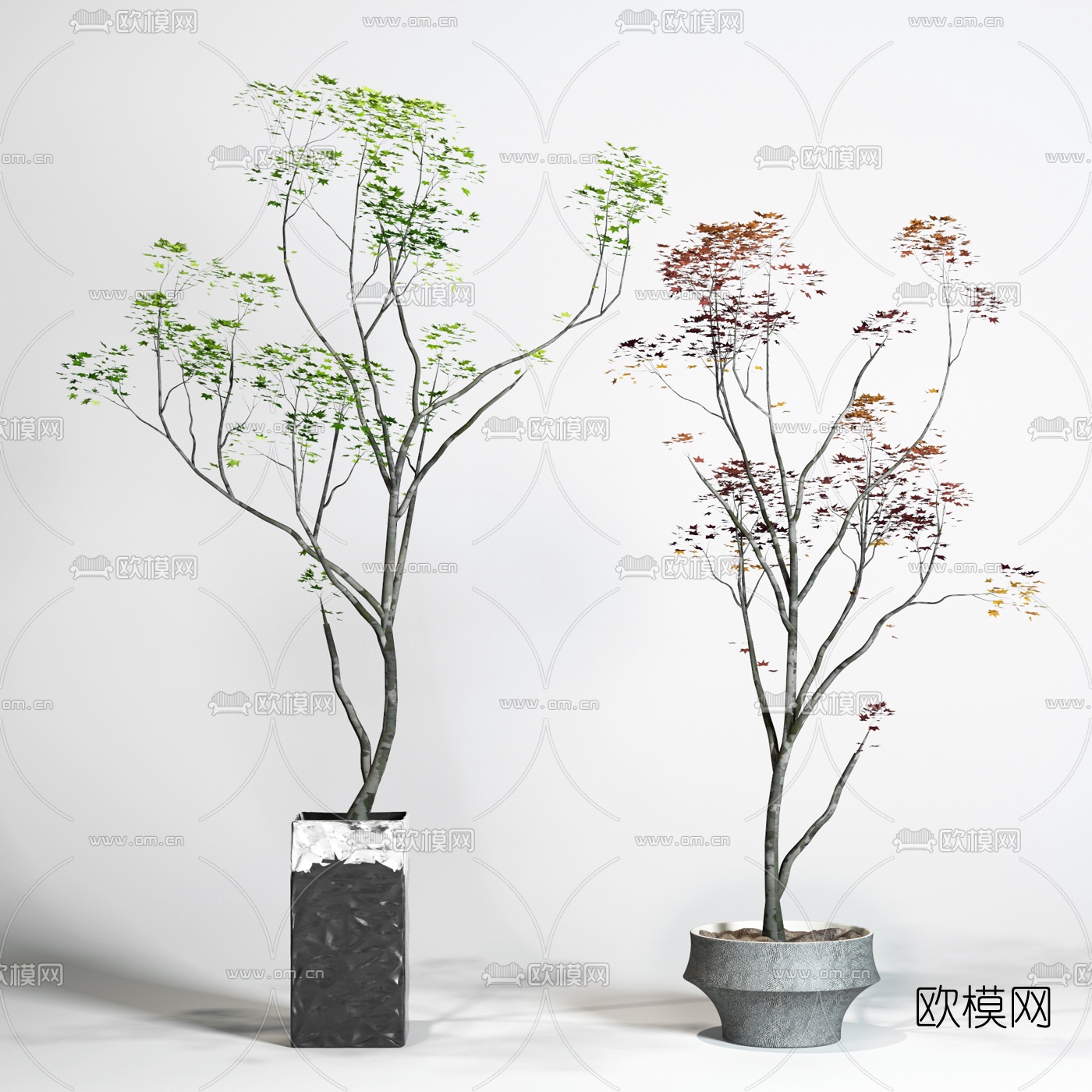 现代绿植盆栽3d模型下载（渲染图1）