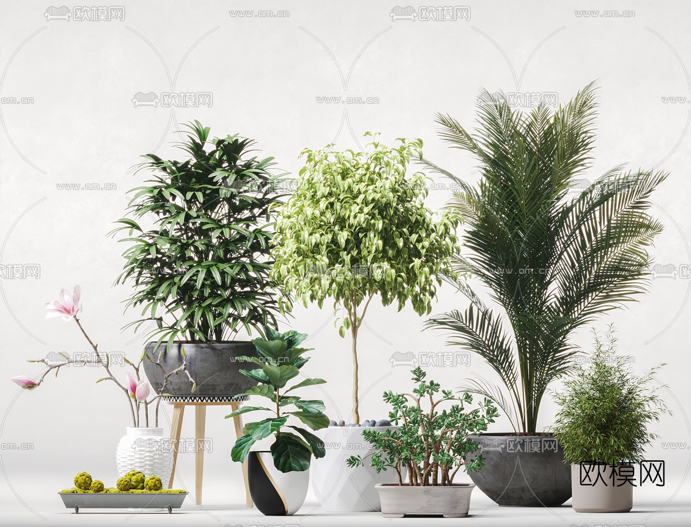 北欧散尾葵绿植盆栽3d模型下载