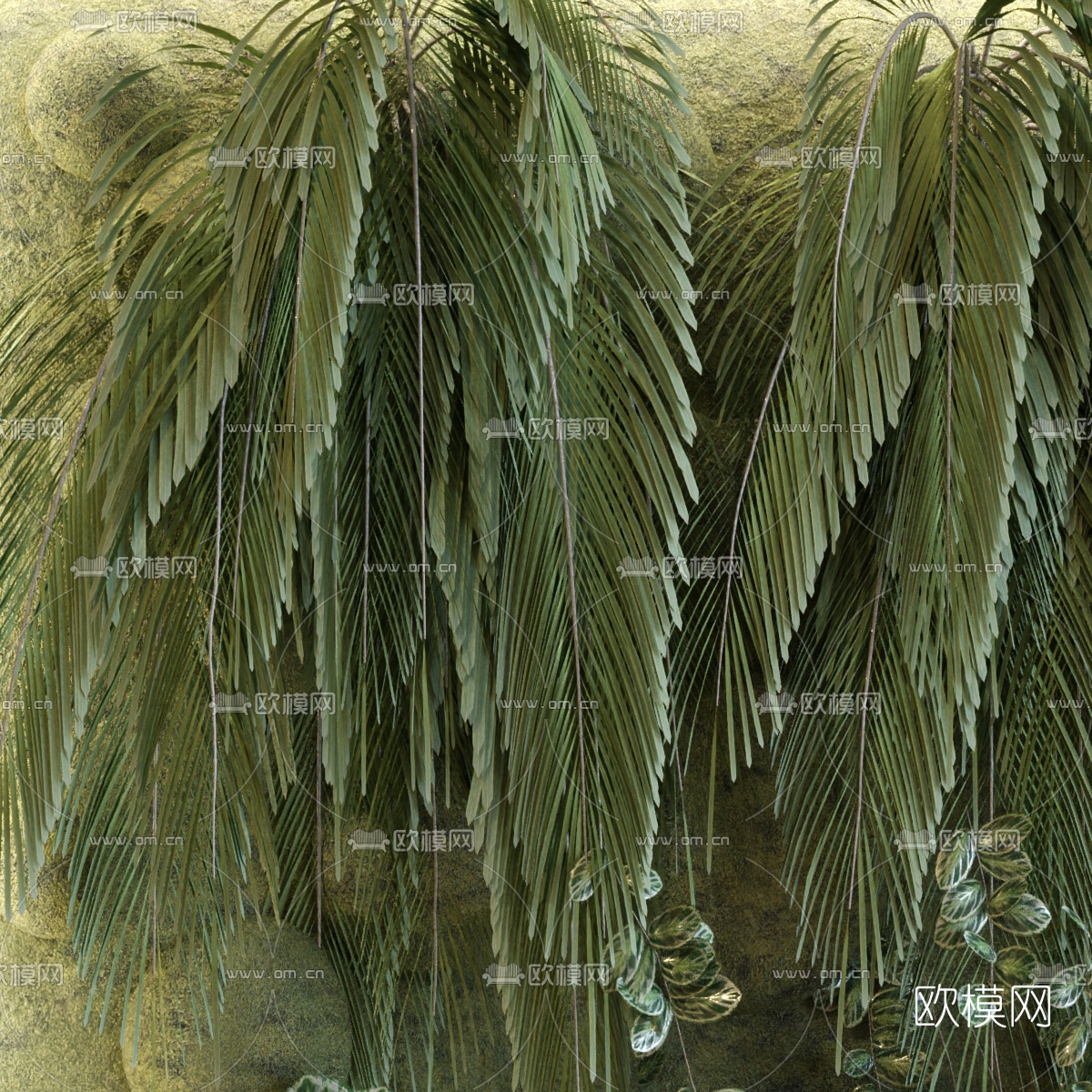 现代绿植植物墙3d模型