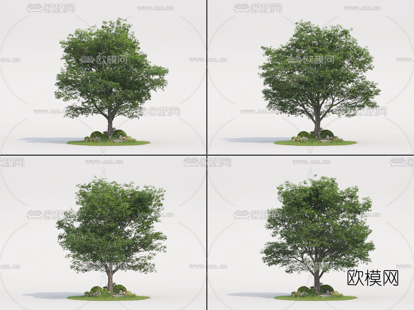 现代景观树行道树3d模型