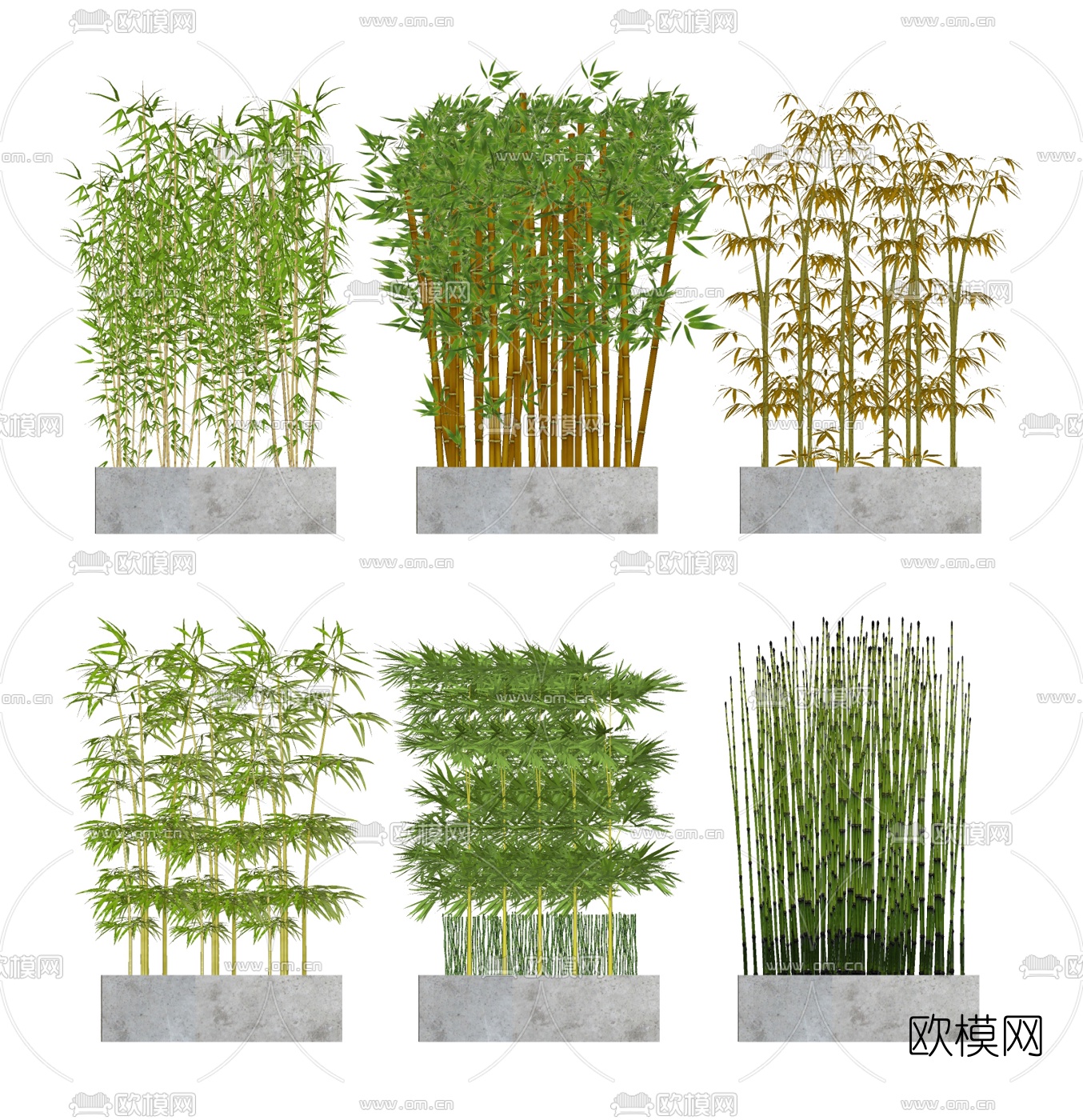 现代竹子盆栽su模型下载（渲染图1）