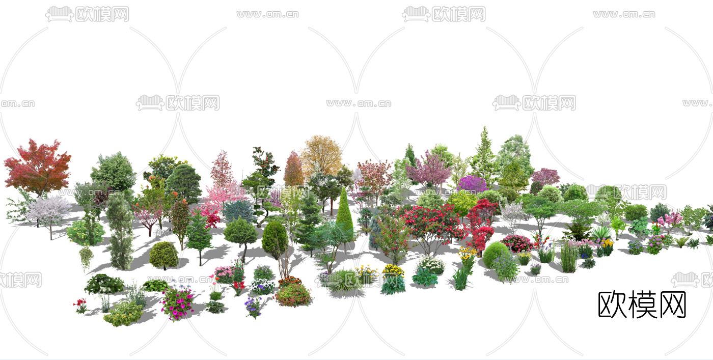 现代2D花草植物su模型下载（渲染图2）