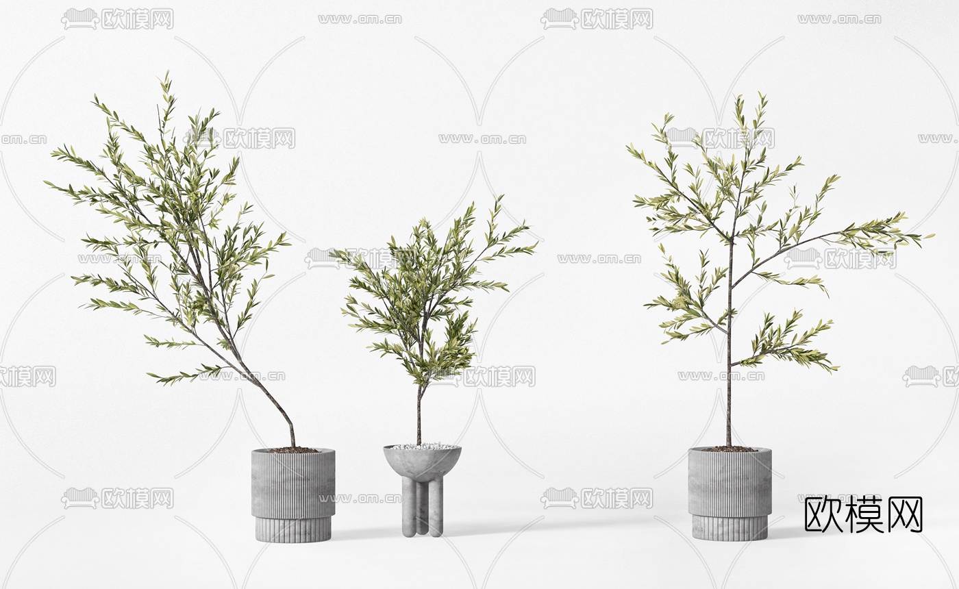 现代绿植盆栽3d模型-免费3dmax模型库-欧模网