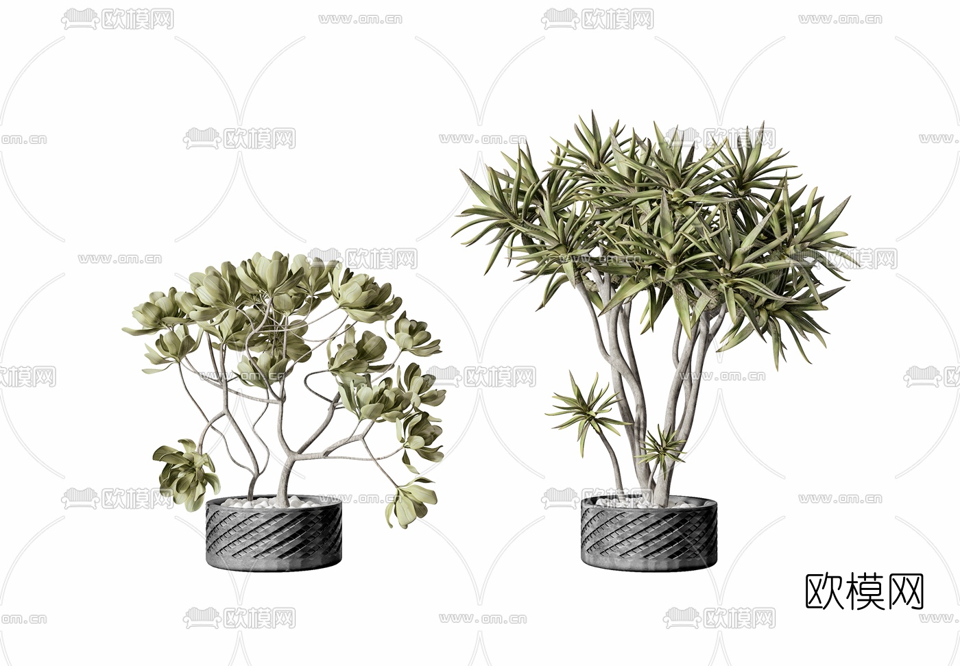 现代绿植盆栽3d模型-免费3dmax模型库-欧模网
