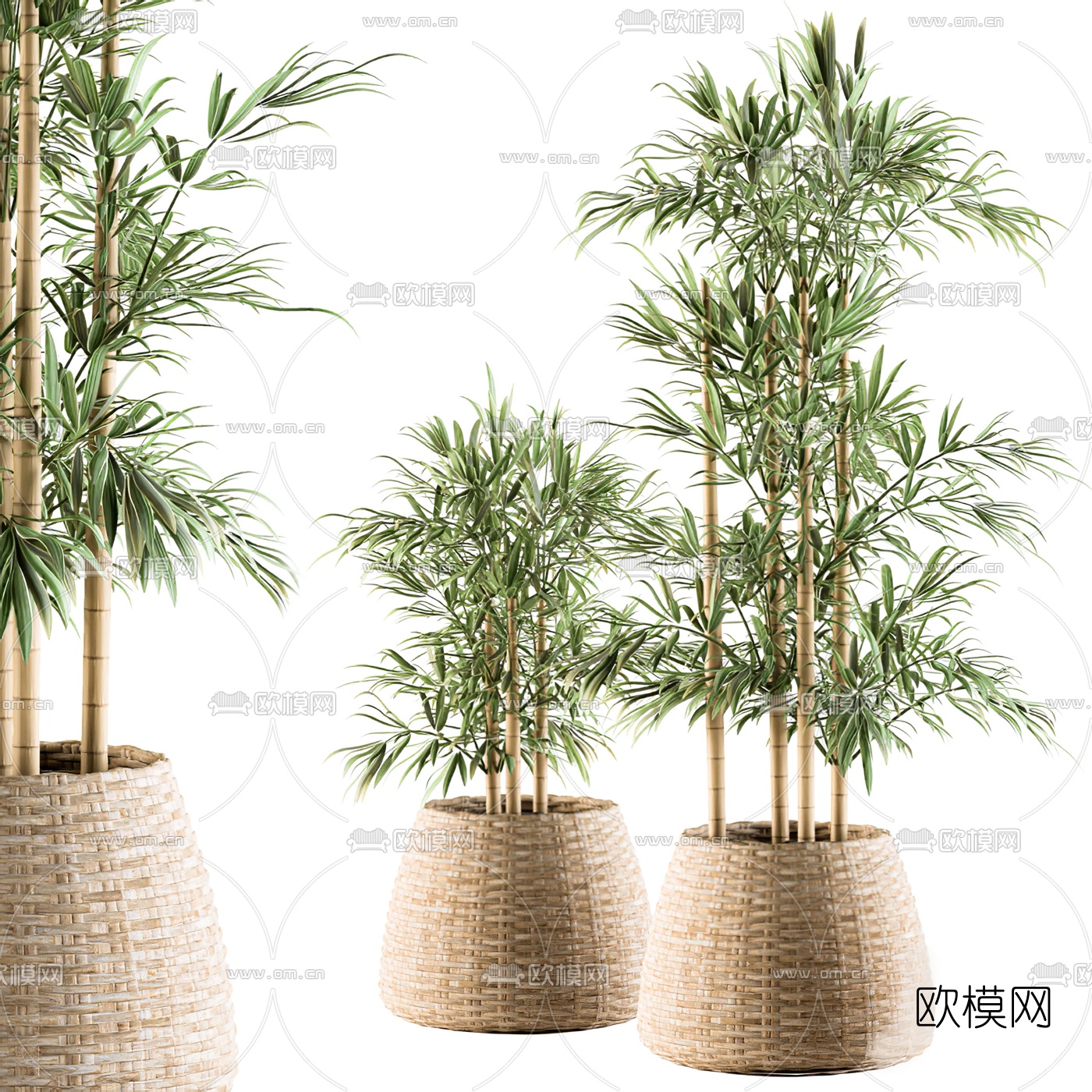 现代竹子盆栽3d模型