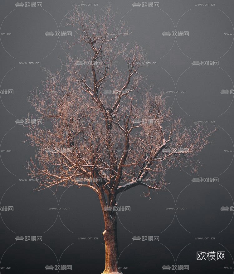 现代干树3d模型