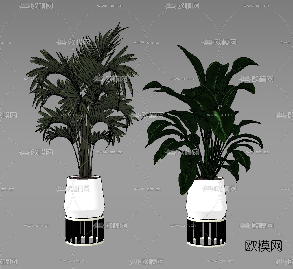 现代植物盆栽盆景su模型下载（渲染图2）