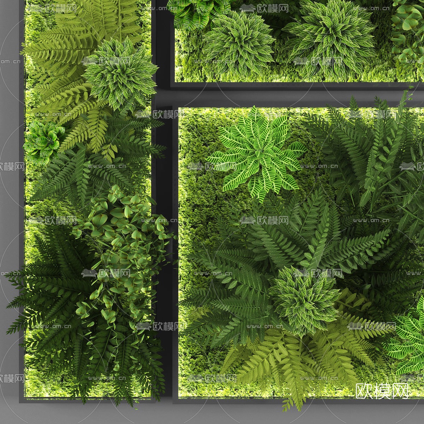 现代绿植植物墙3d模型