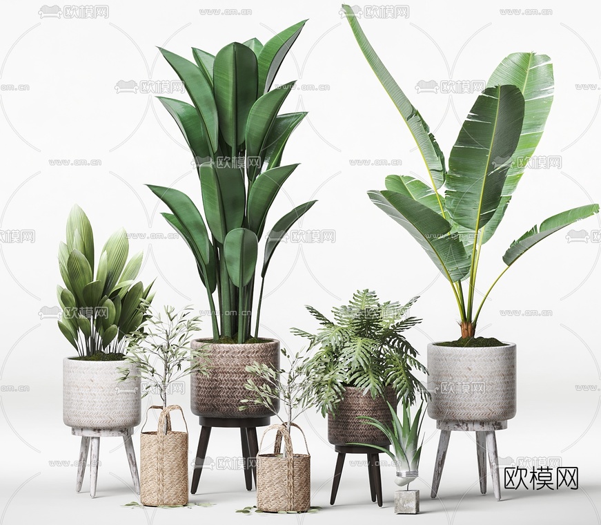 北欧植物盆栽组合3d模型-免费3dmax模型库-欧模网