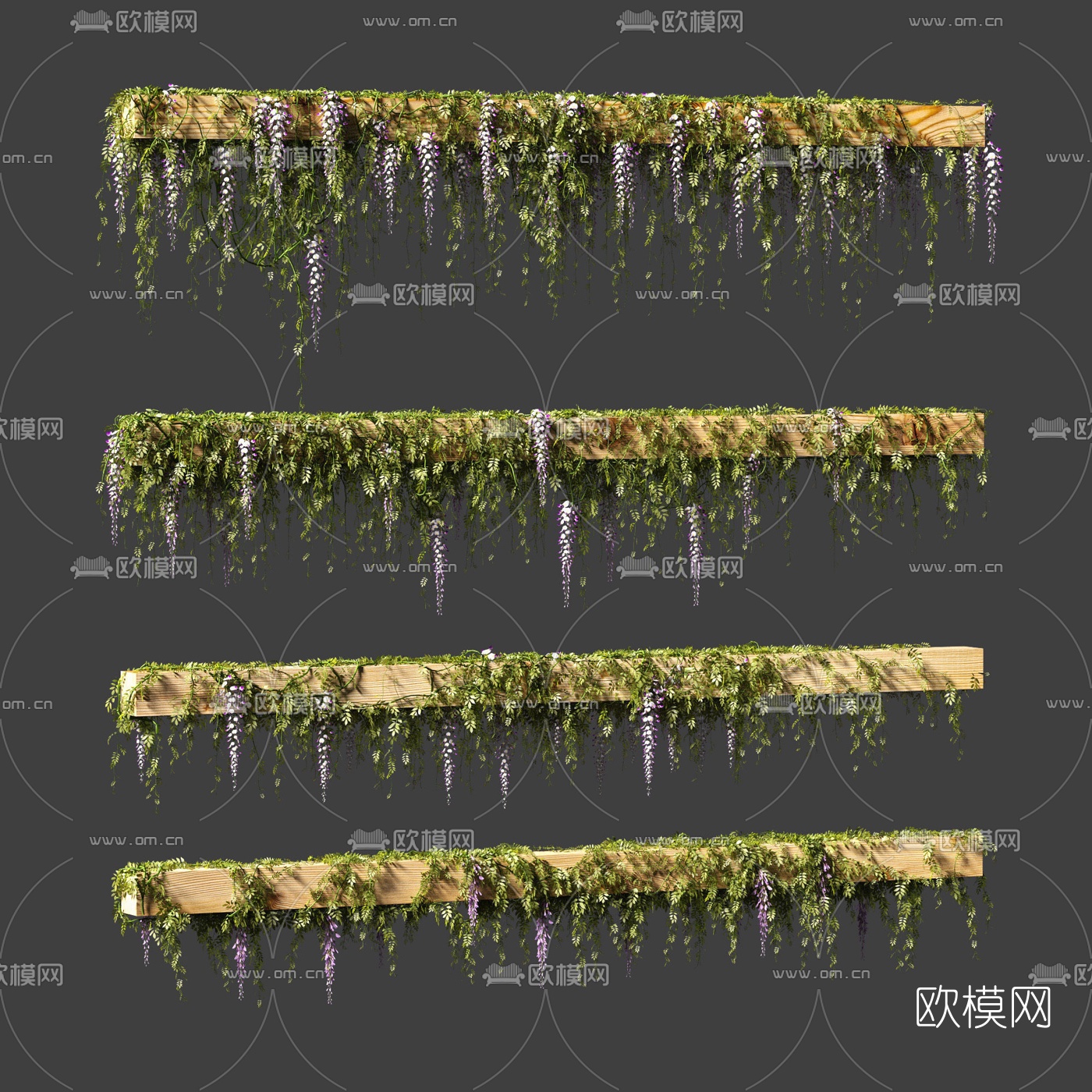 现代紫藤萝藤蔓3d模型