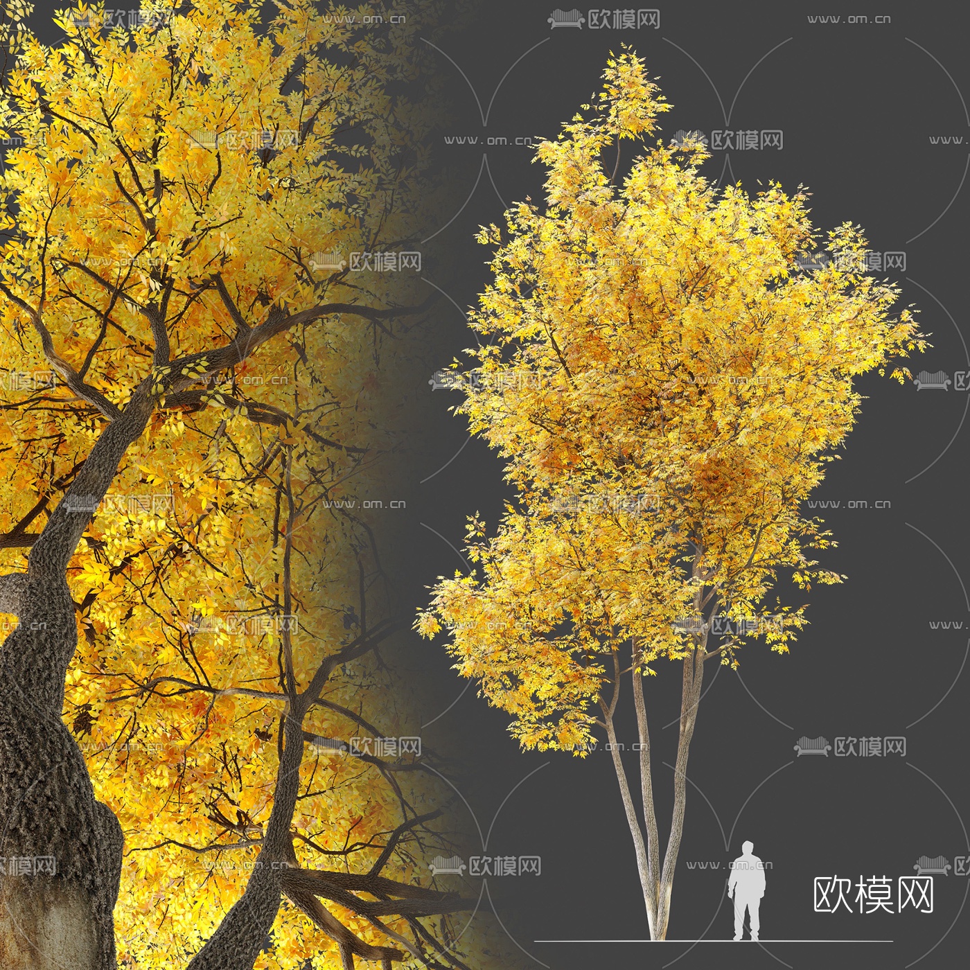 现代黄叶景观树3d模型