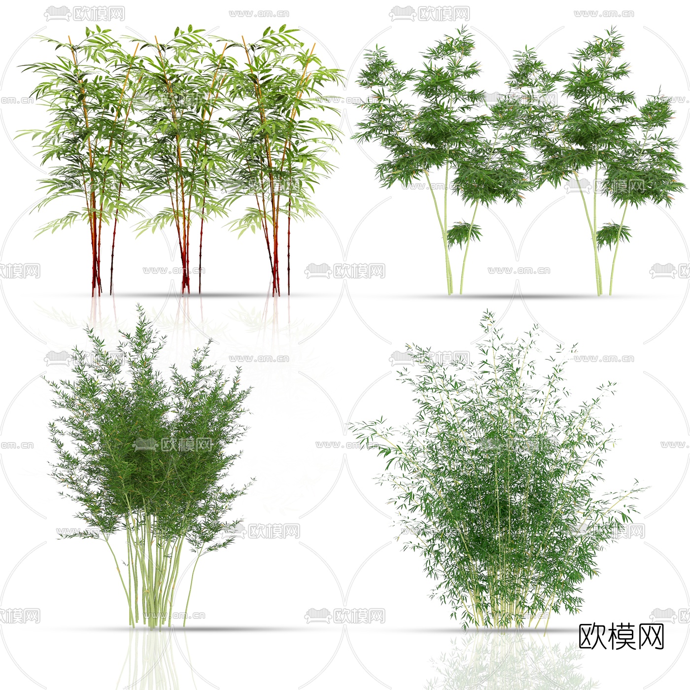现代绿植竹子3d模型