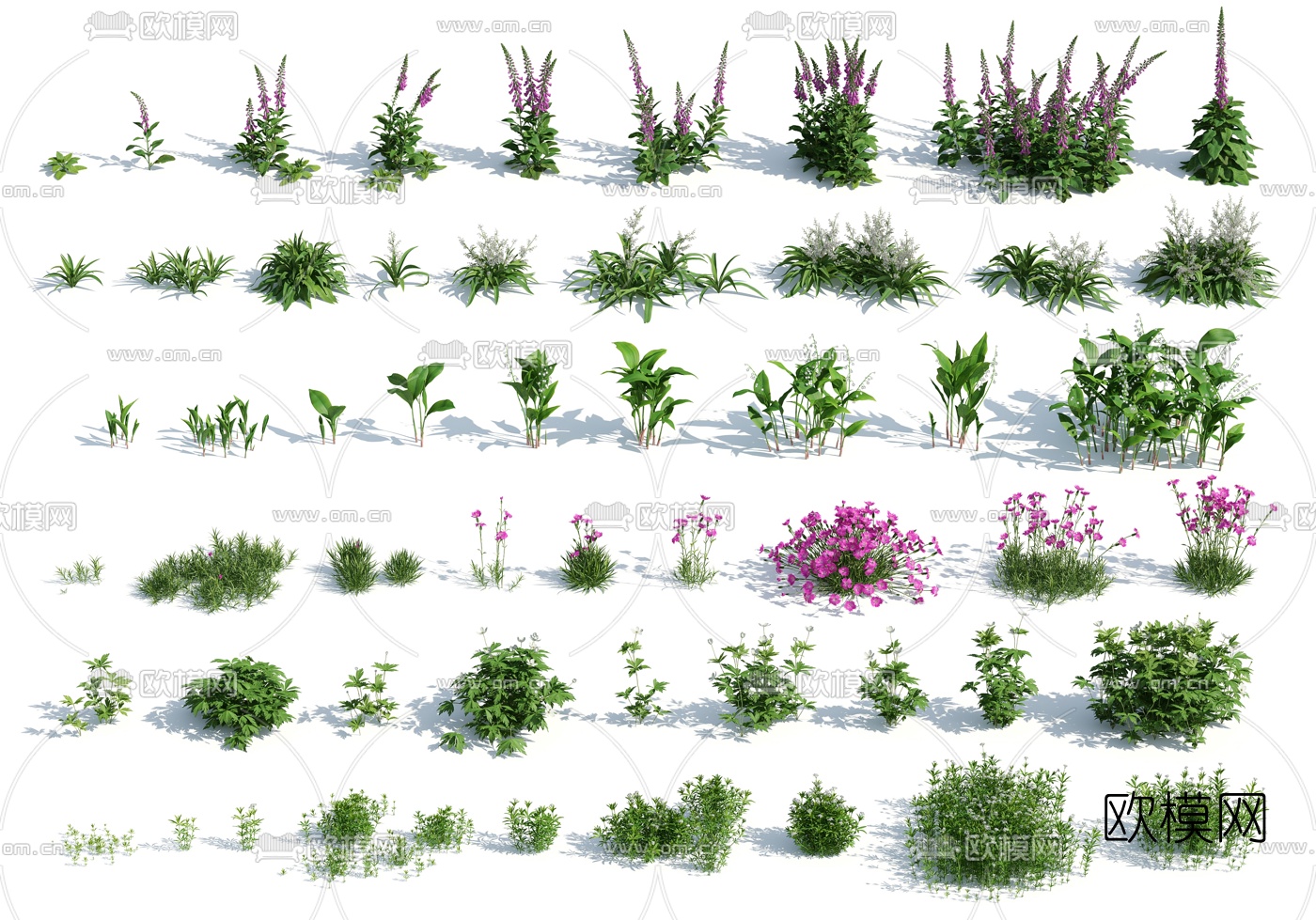 现代绿植灌木花草3d模型下载