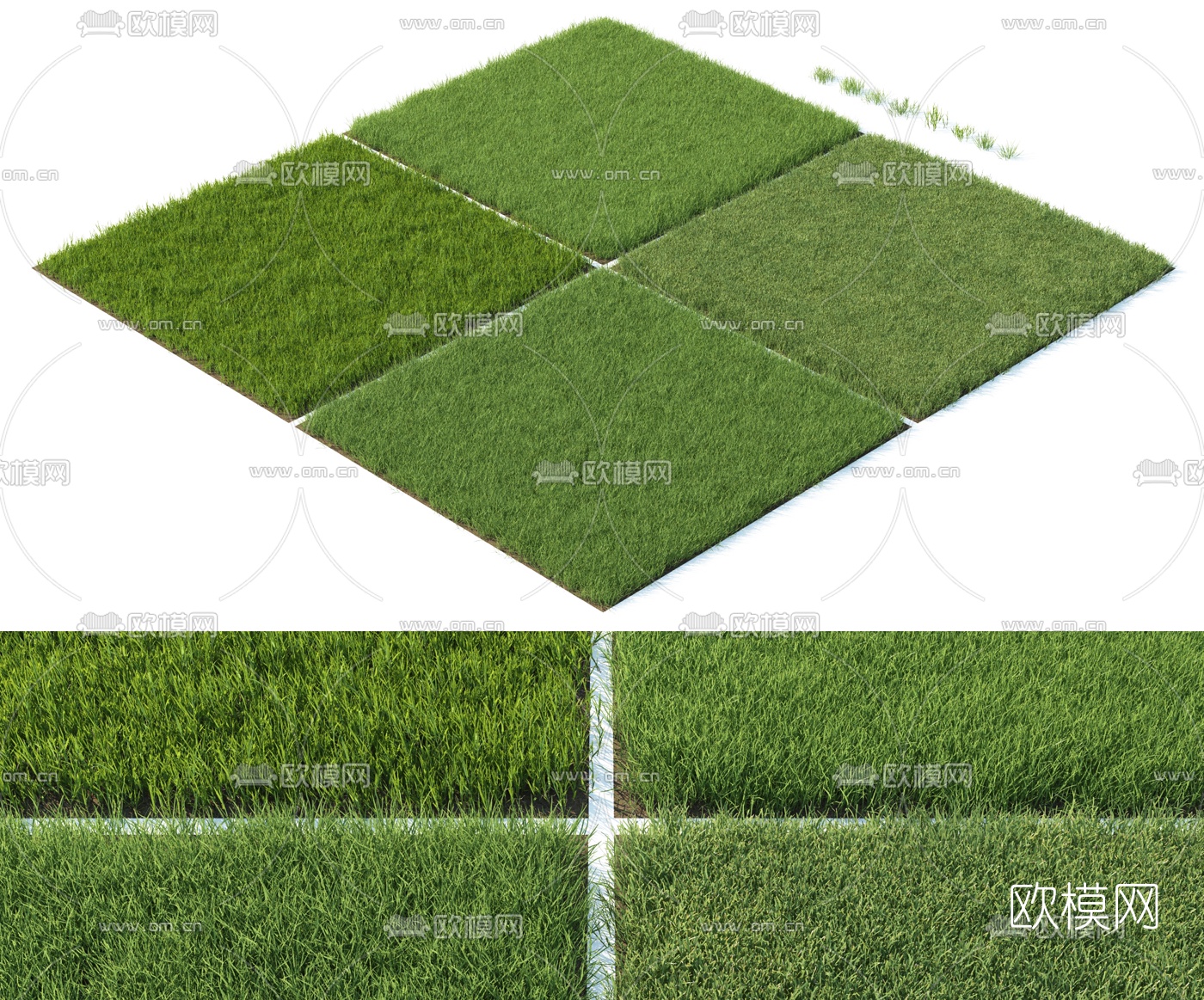 现代草坪草地3d模型下载（渲染图1）