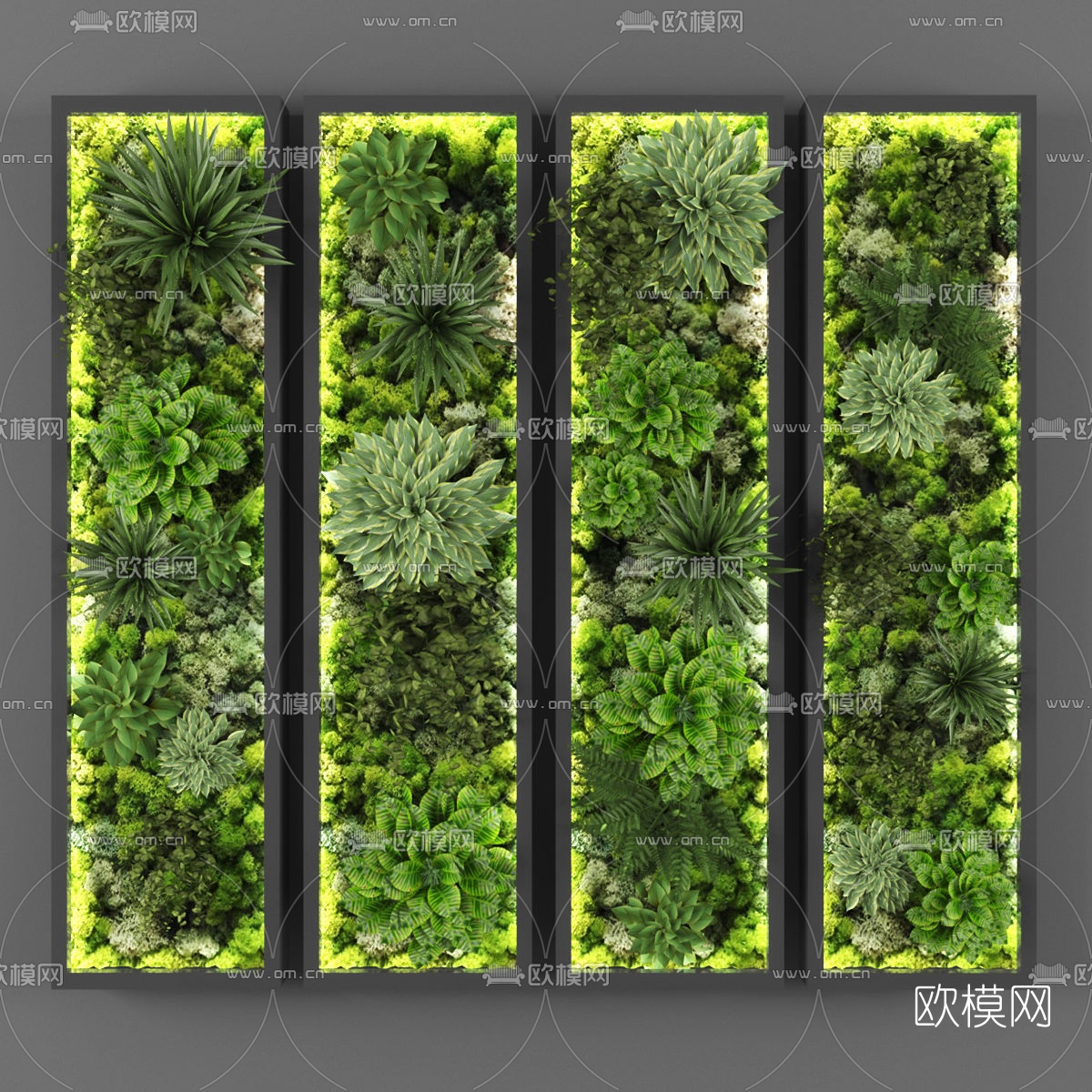 现代植物墙3d模型