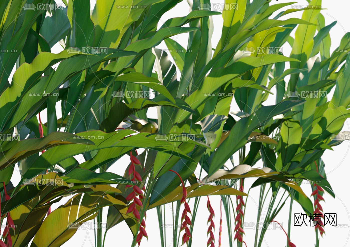 现代植物花草3d模型下载（渲染图3）