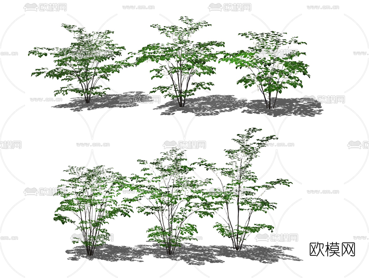 现代绿植灌木su模型