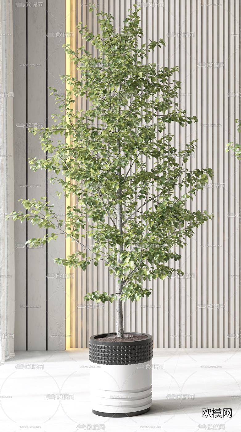 现代植物盆栽3d模型