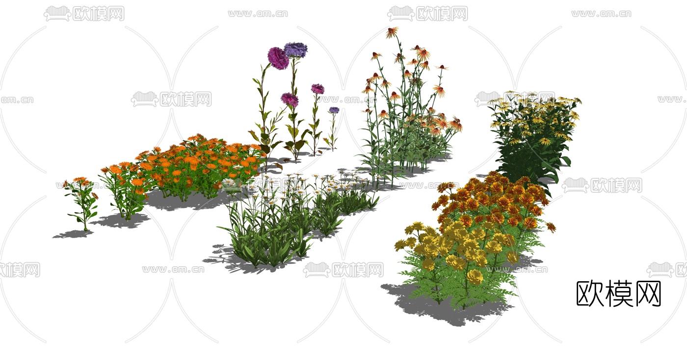 现代灌木花卉菊花su模型下载（渲染图2）