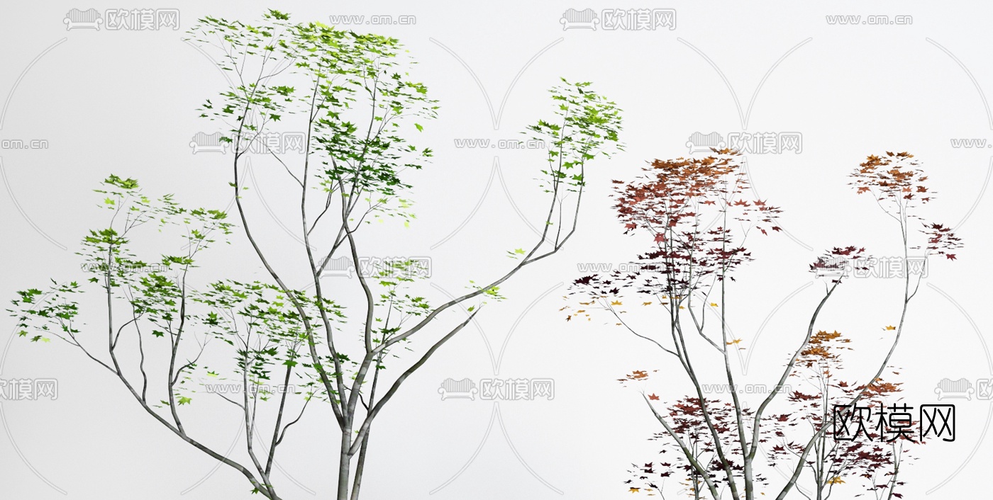 现代绿植盆栽3d模型下载（渲染图2）