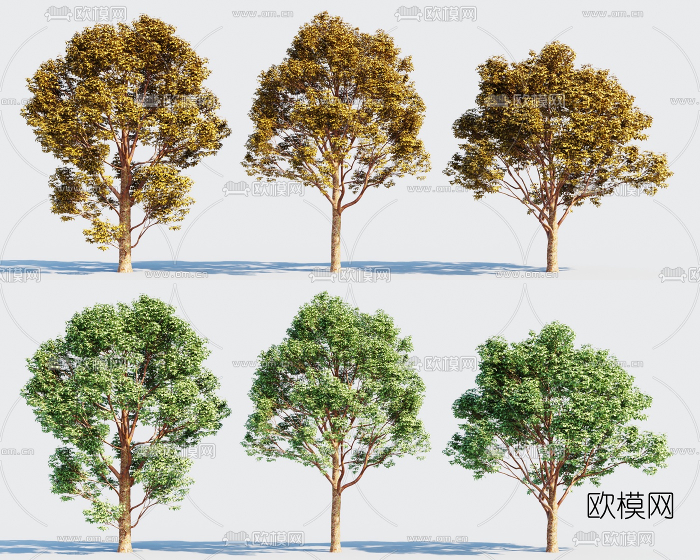 现代行道树景观树3d模型下载