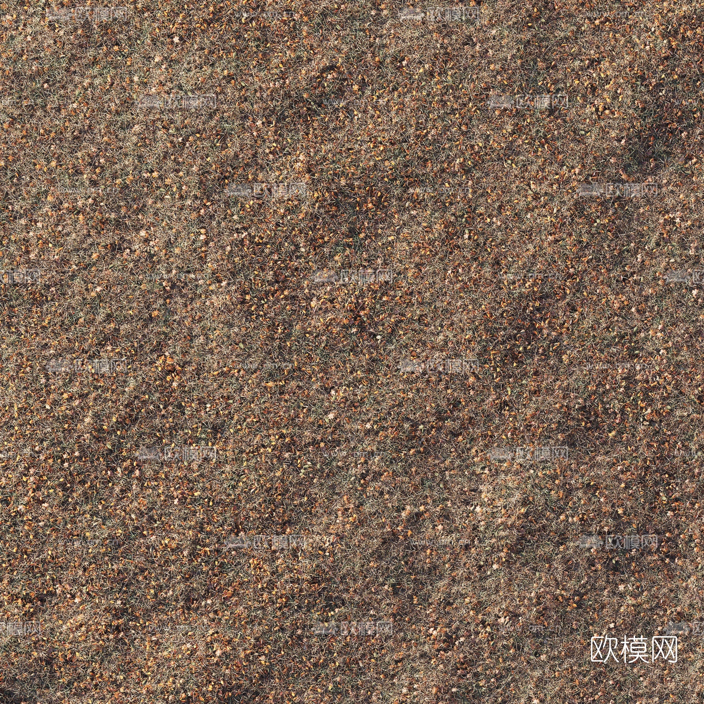 现代秋季落叶干草地3d模型下载（渲染图3）