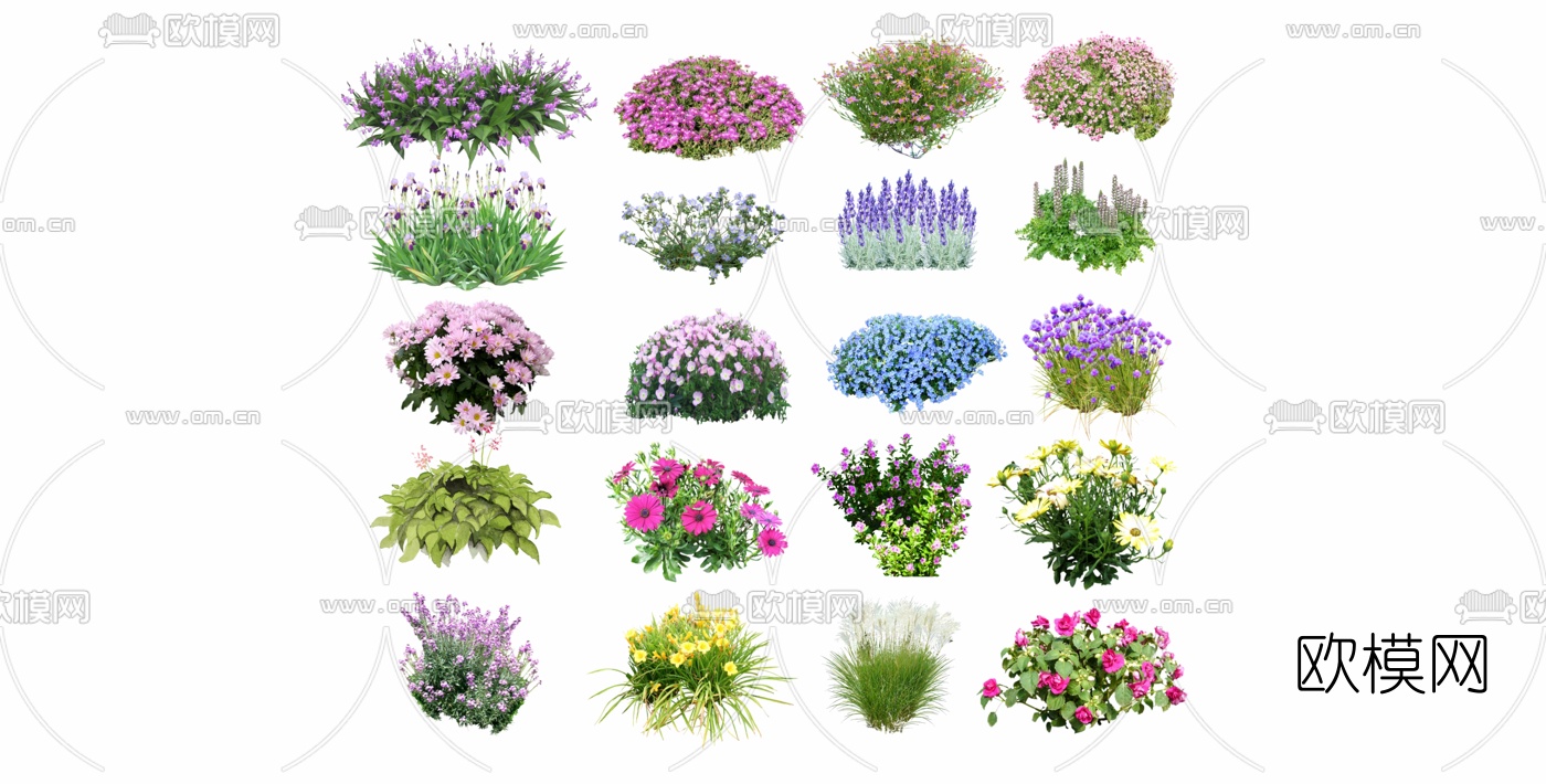 现代灌木花卉花朵su模型