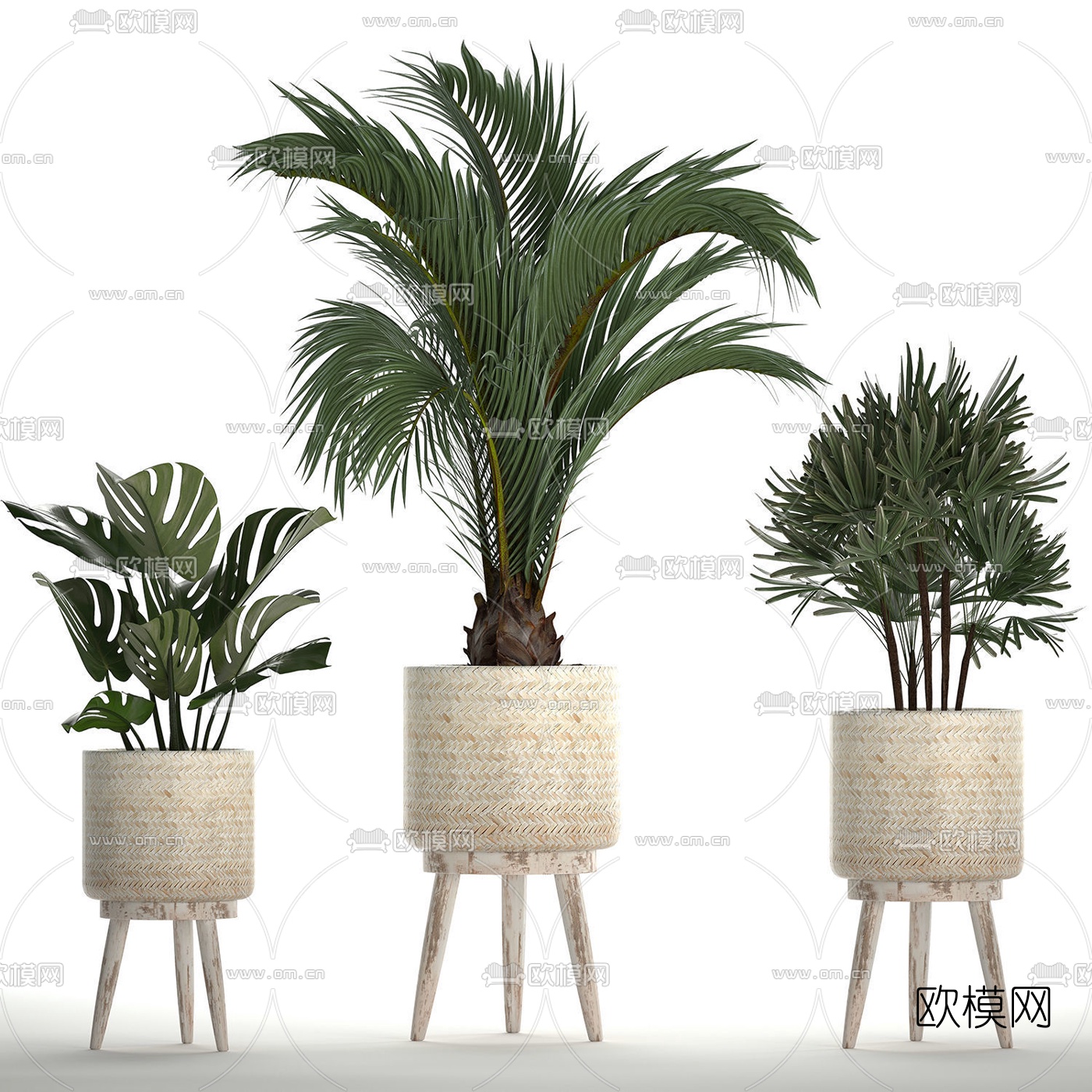 北欧绿植盆栽3d模型下载（渲染图3）