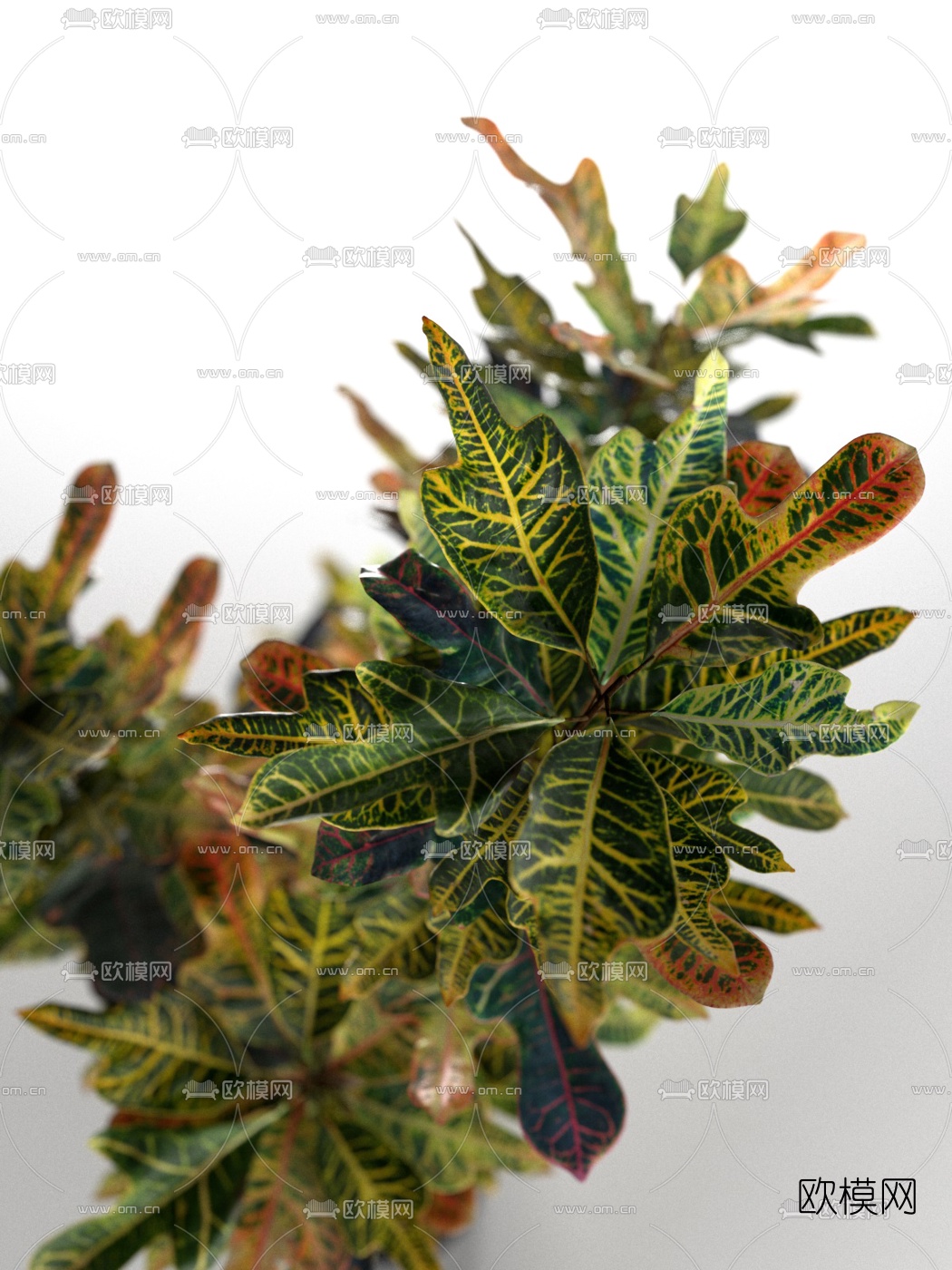 现代绿植盆栽3d模型下载（渲染图4）